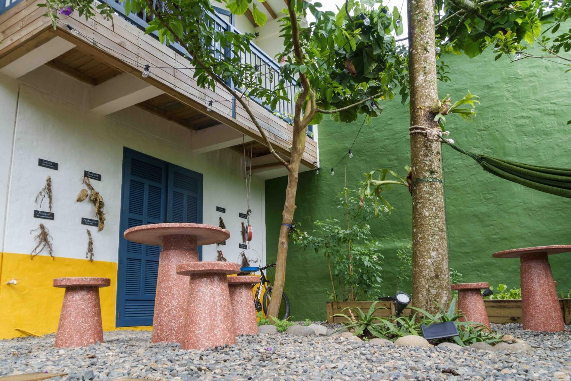 Plantacion Jardín